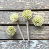 Redecker Dish Brushes with replacement heads, view of bristles