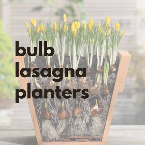 Bulb Lasagna Workshop