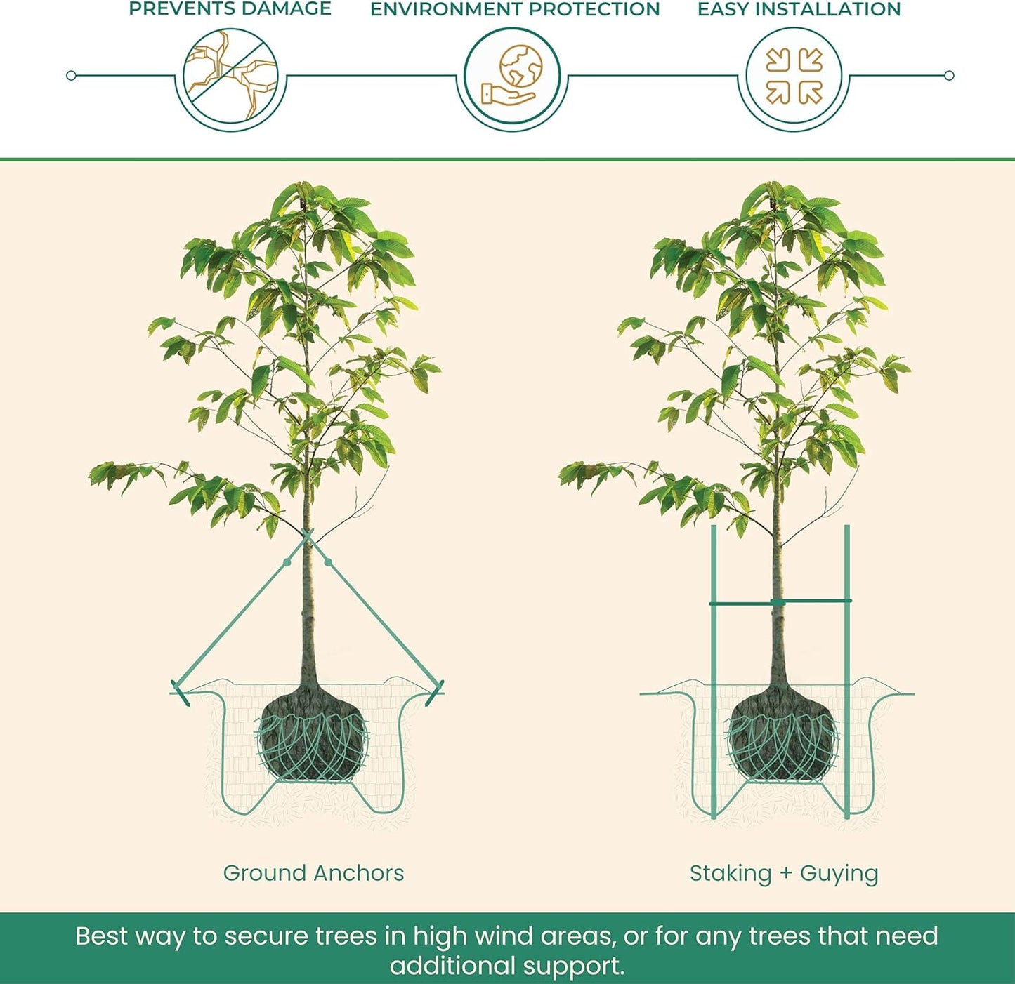 Arbortie 100'
