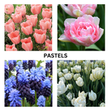 Bulb Lasagna Workshop