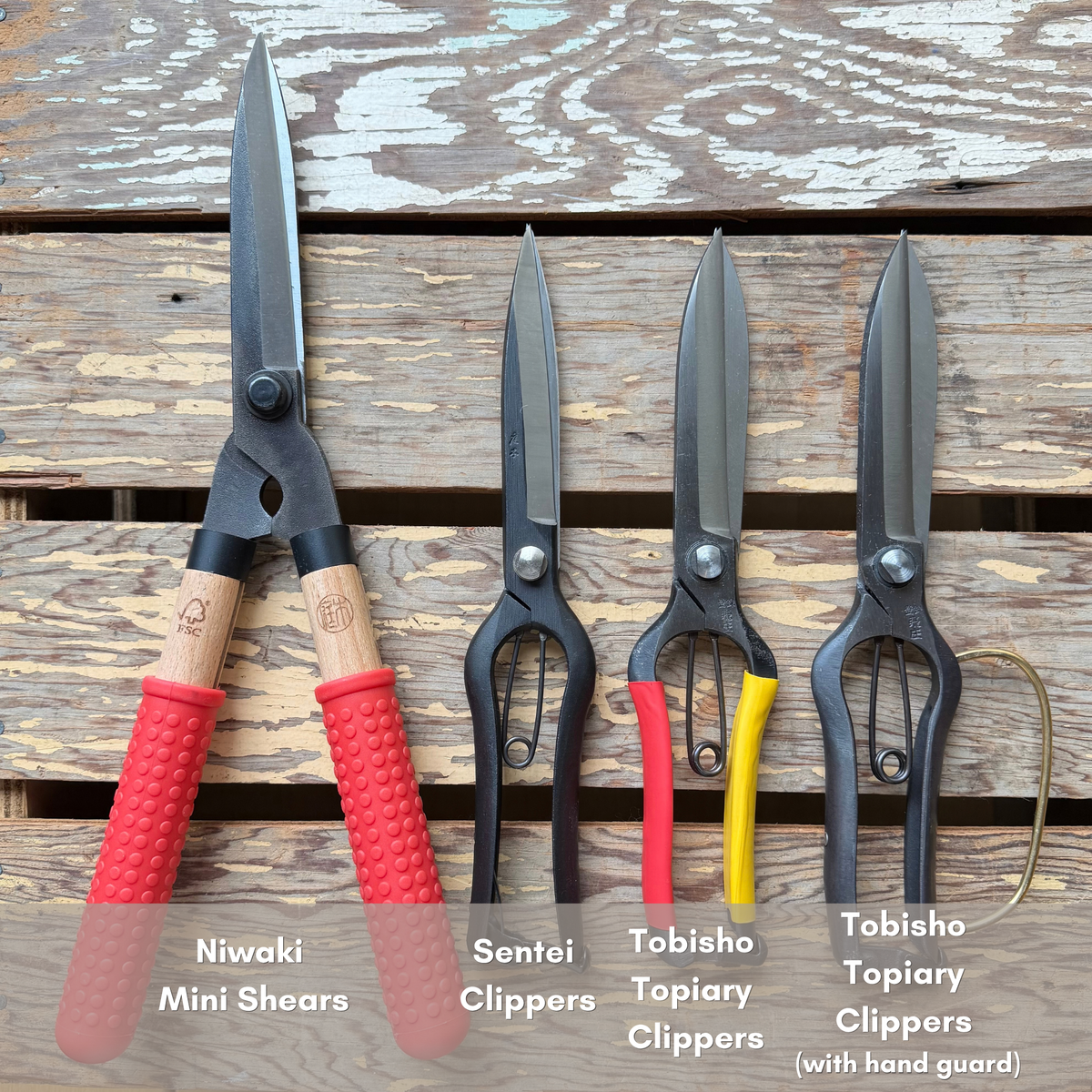 Tobisho Topiary Clippers with hand guard
