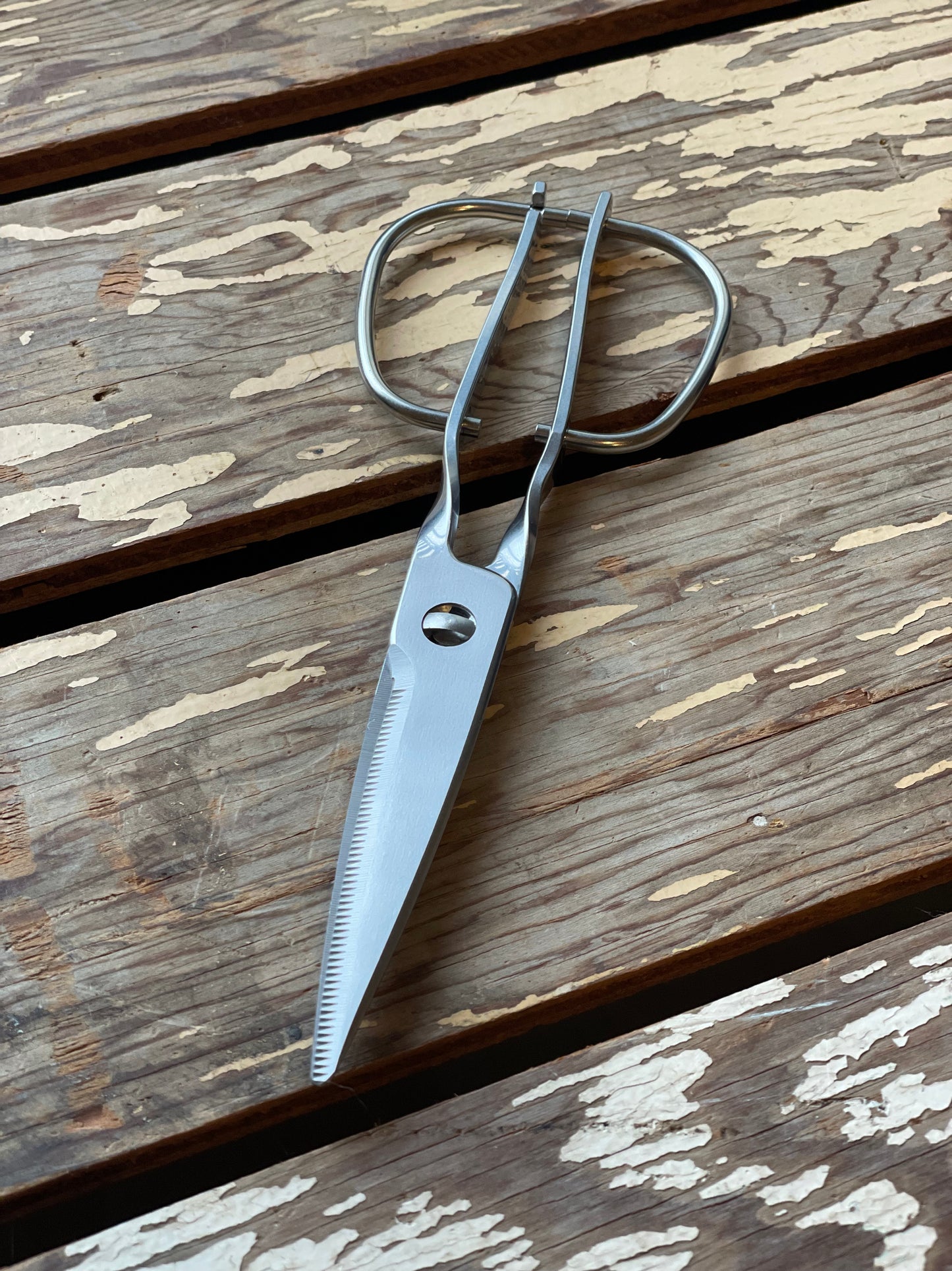 Deluxe Kitchen Scissors close-up