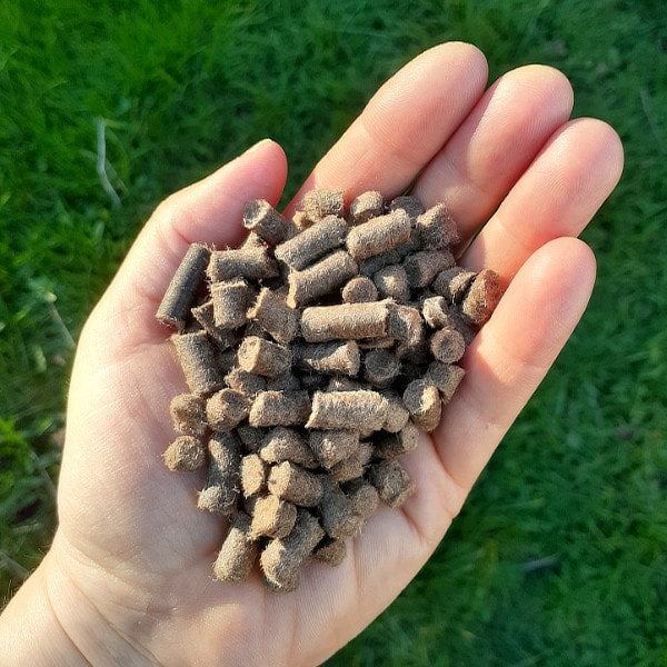Wool Pellets Fertilizer In Hand