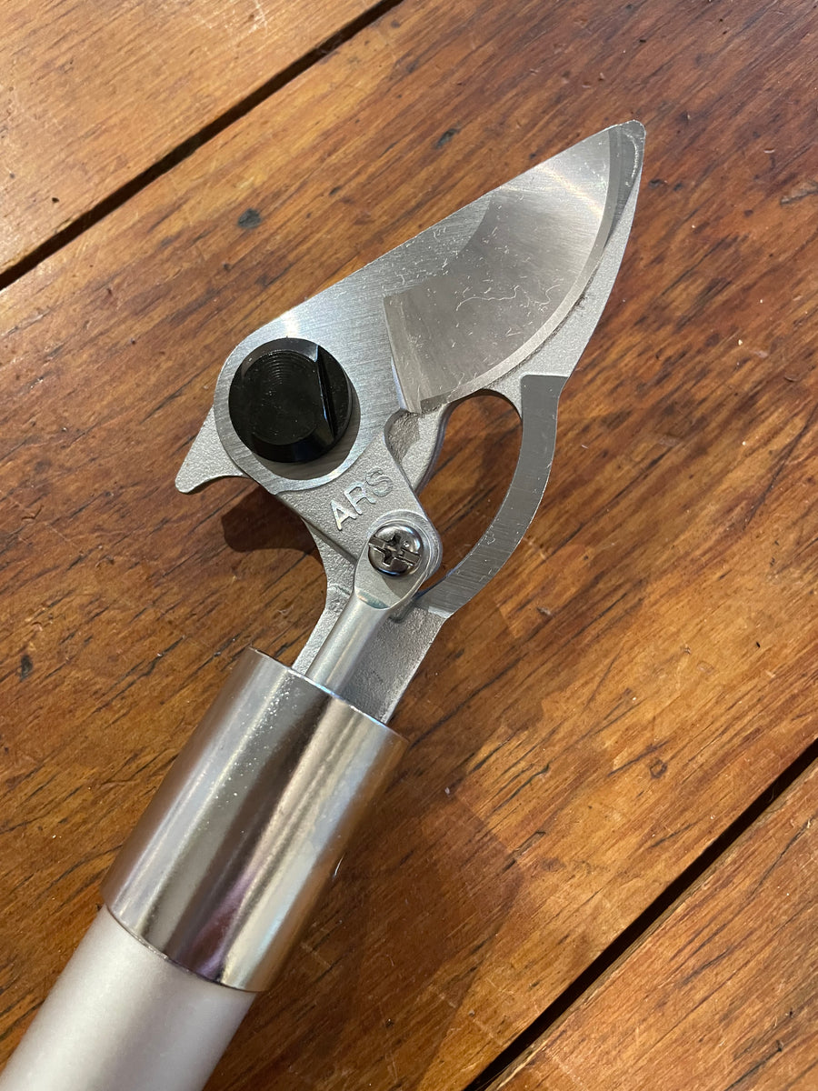 Ars top pole pruner