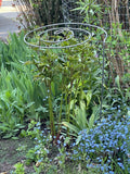 Spiral Plant Support In Garden