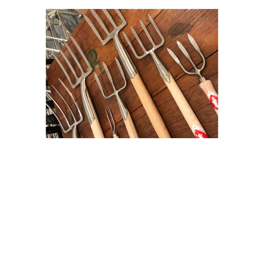 Forks are Under-Appreciated