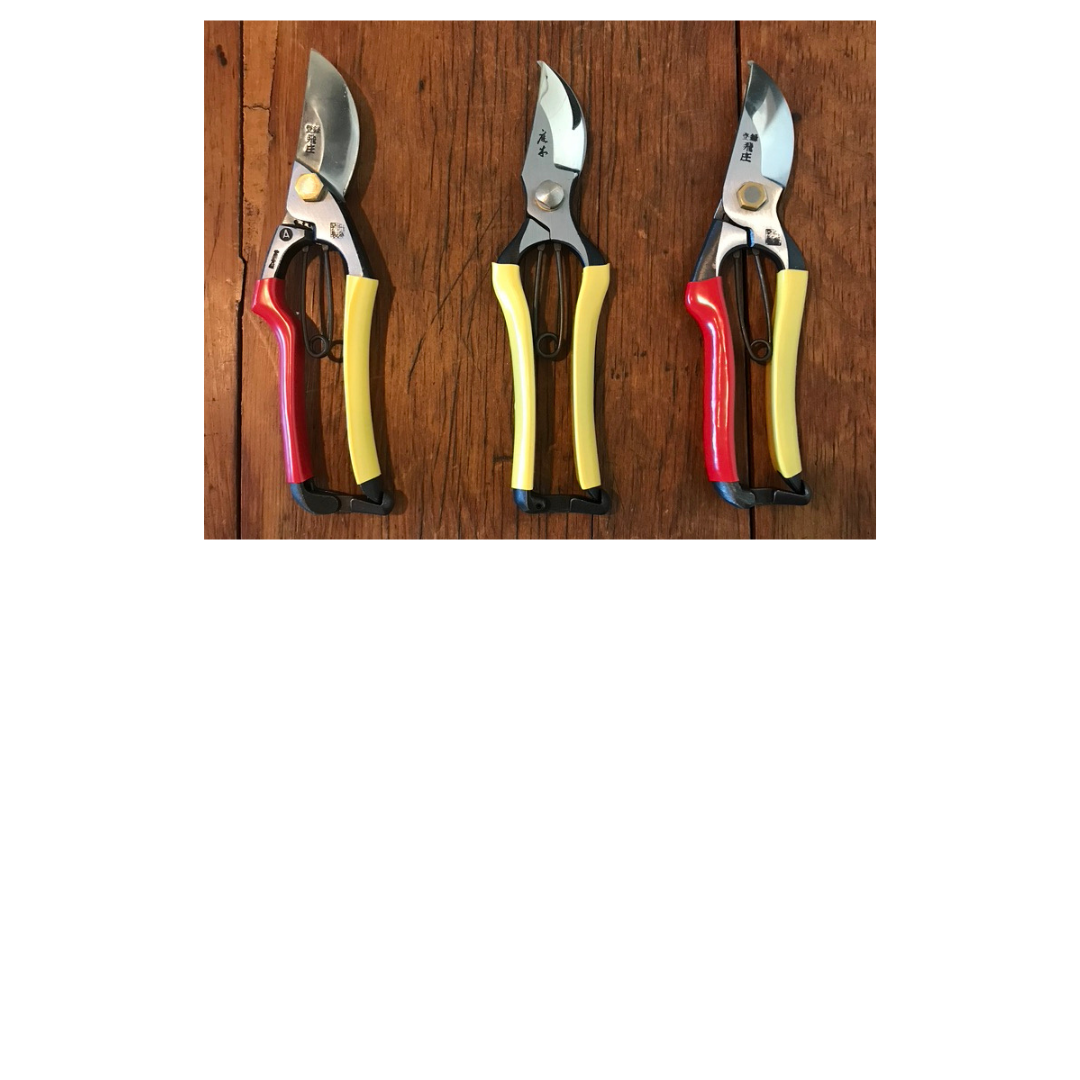 secateurs