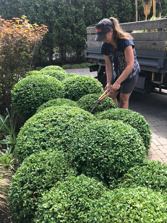 Time to Trim Topiary