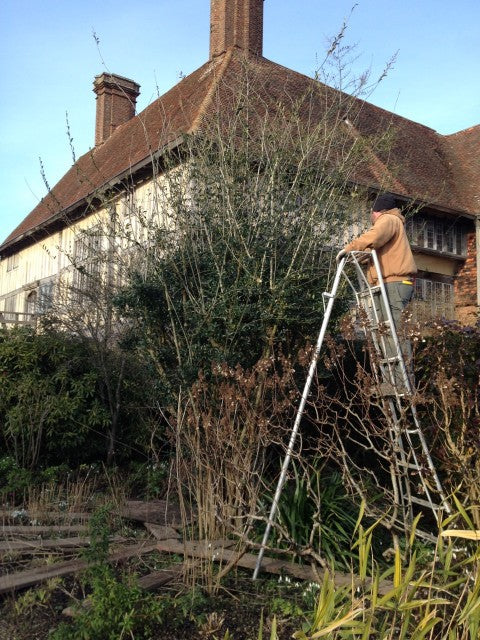 hasegawa tripod ladders
