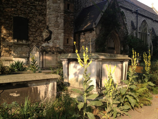 The Garden Museum, London, England