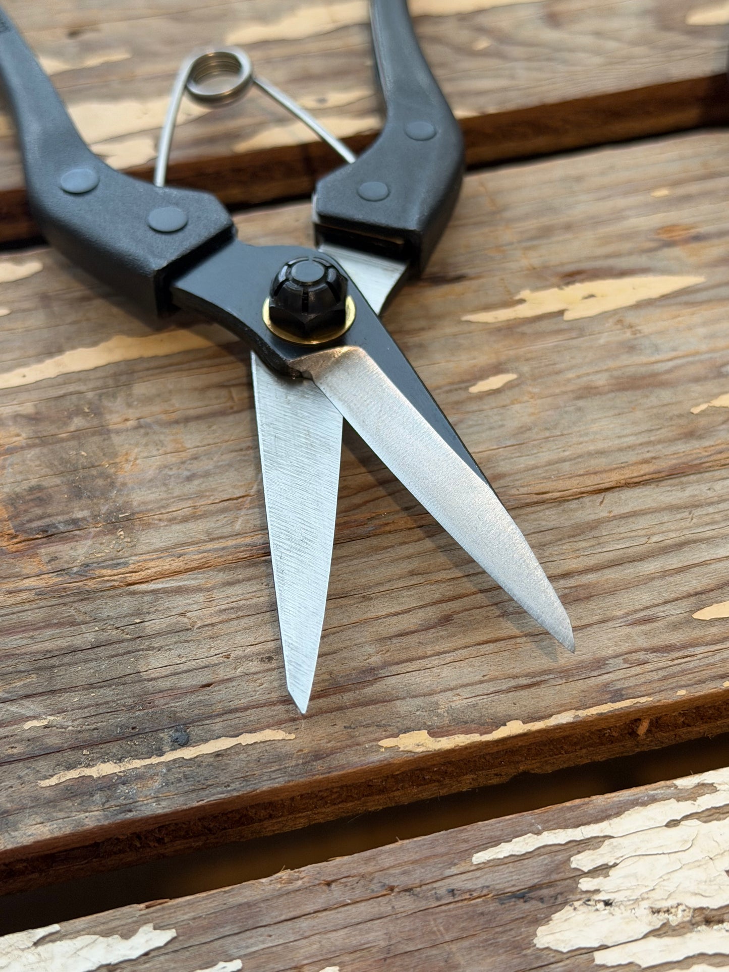 Kuroco Snips