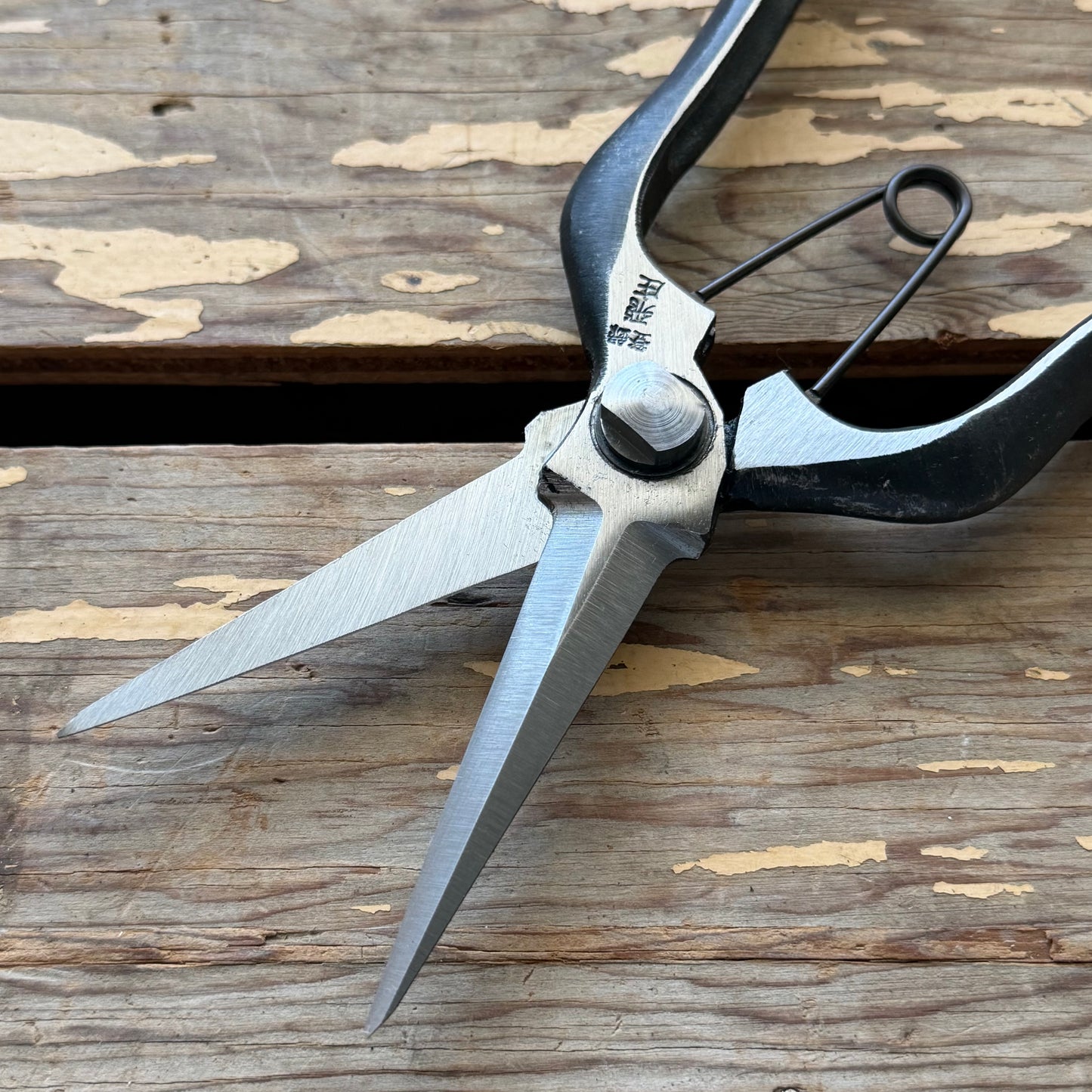 Tobisho Pro Snips