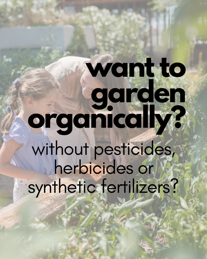 Introduction to Organic Gardening Workshop