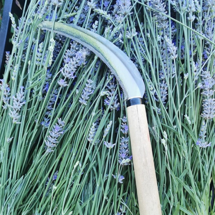 Herbaceous Sickle