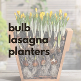Bulb Lasagna Workshop
