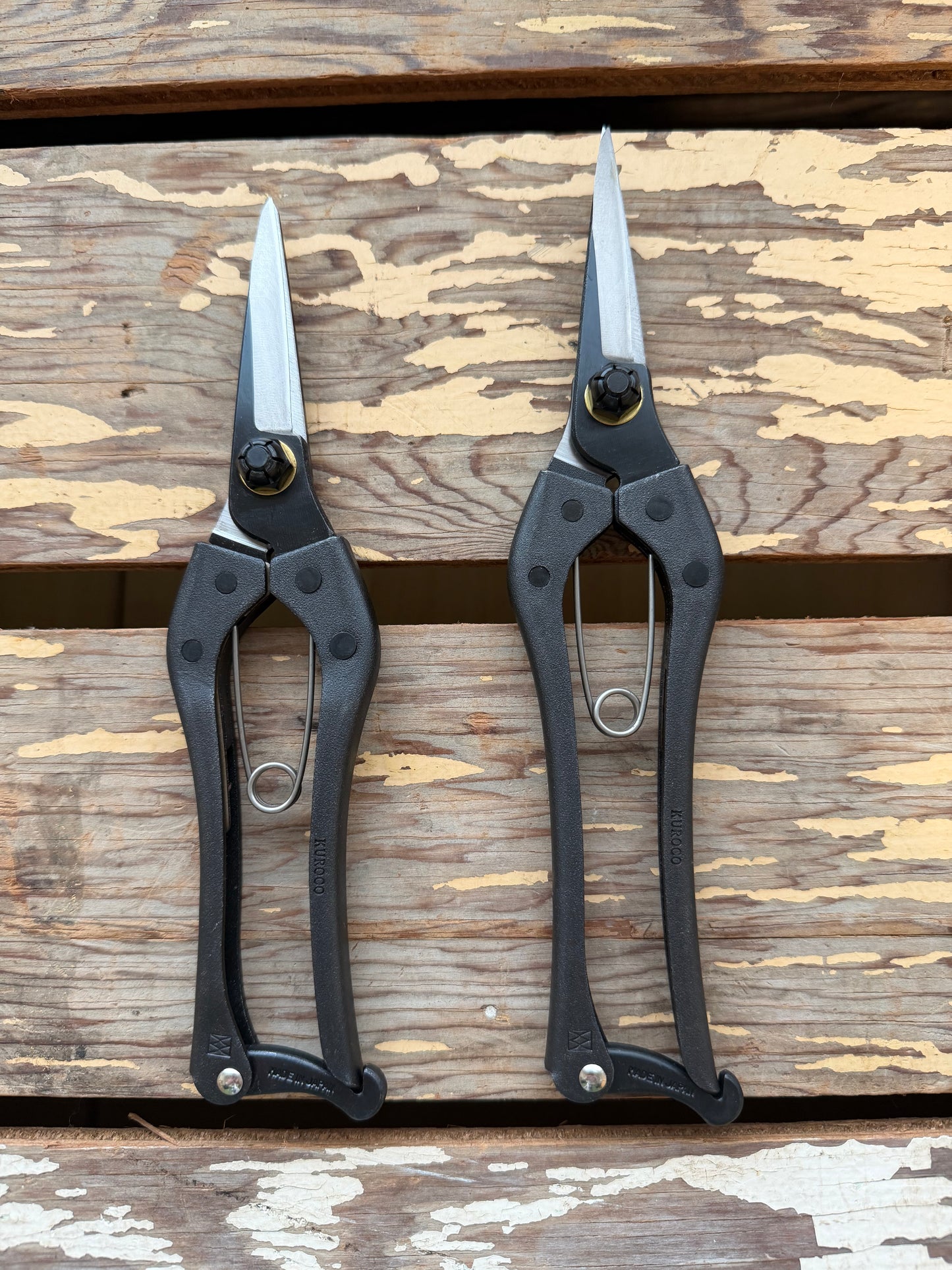 Kuroco Snips