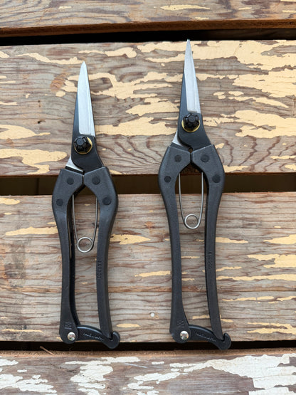 Kuroco Snips