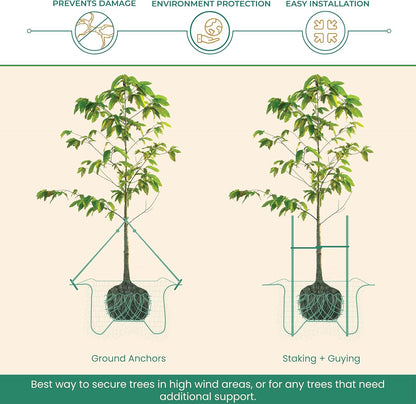 ArborTie Anchor Kit