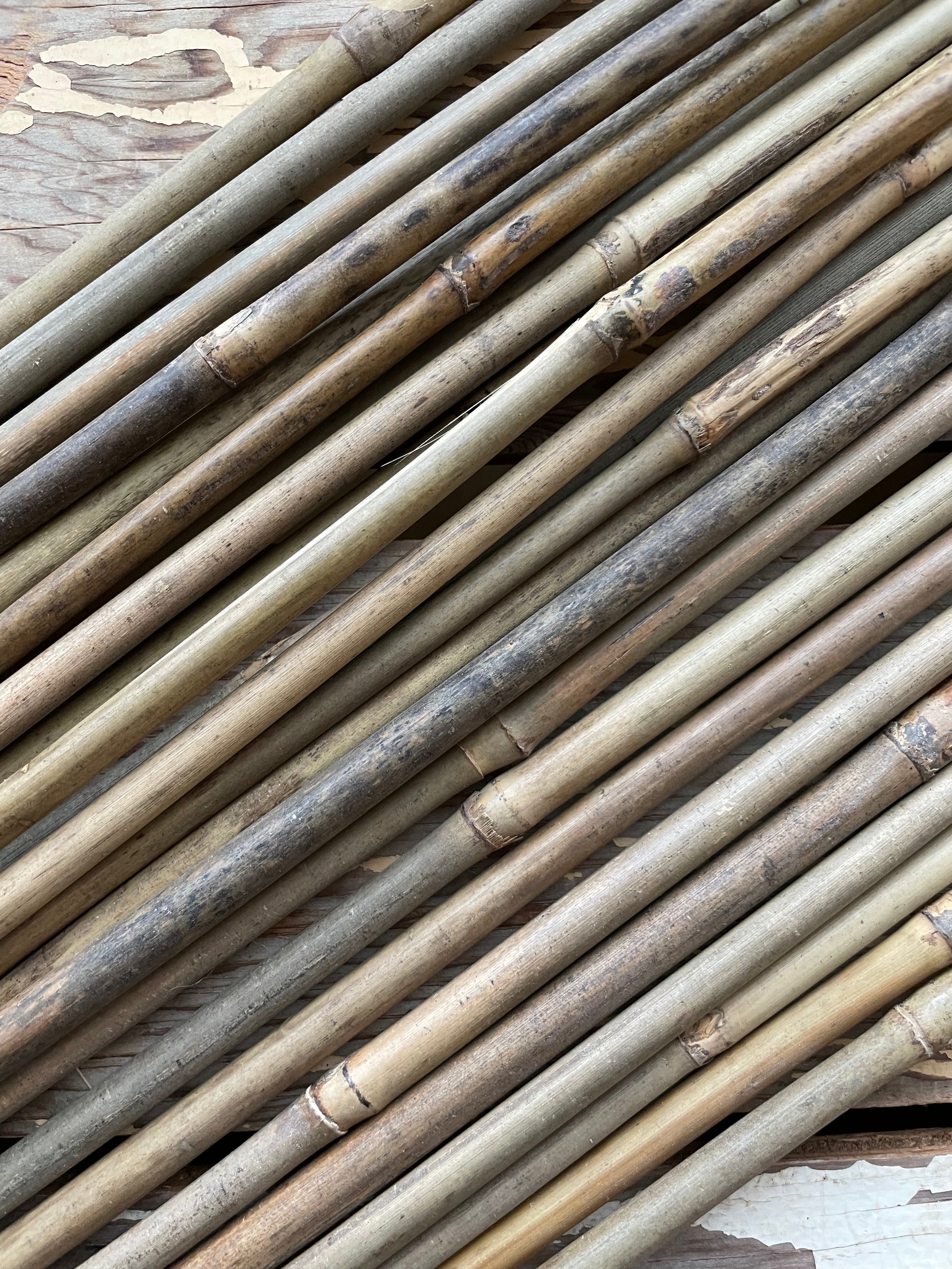myGarden Bamboo Natural Stakes (25 Pack)