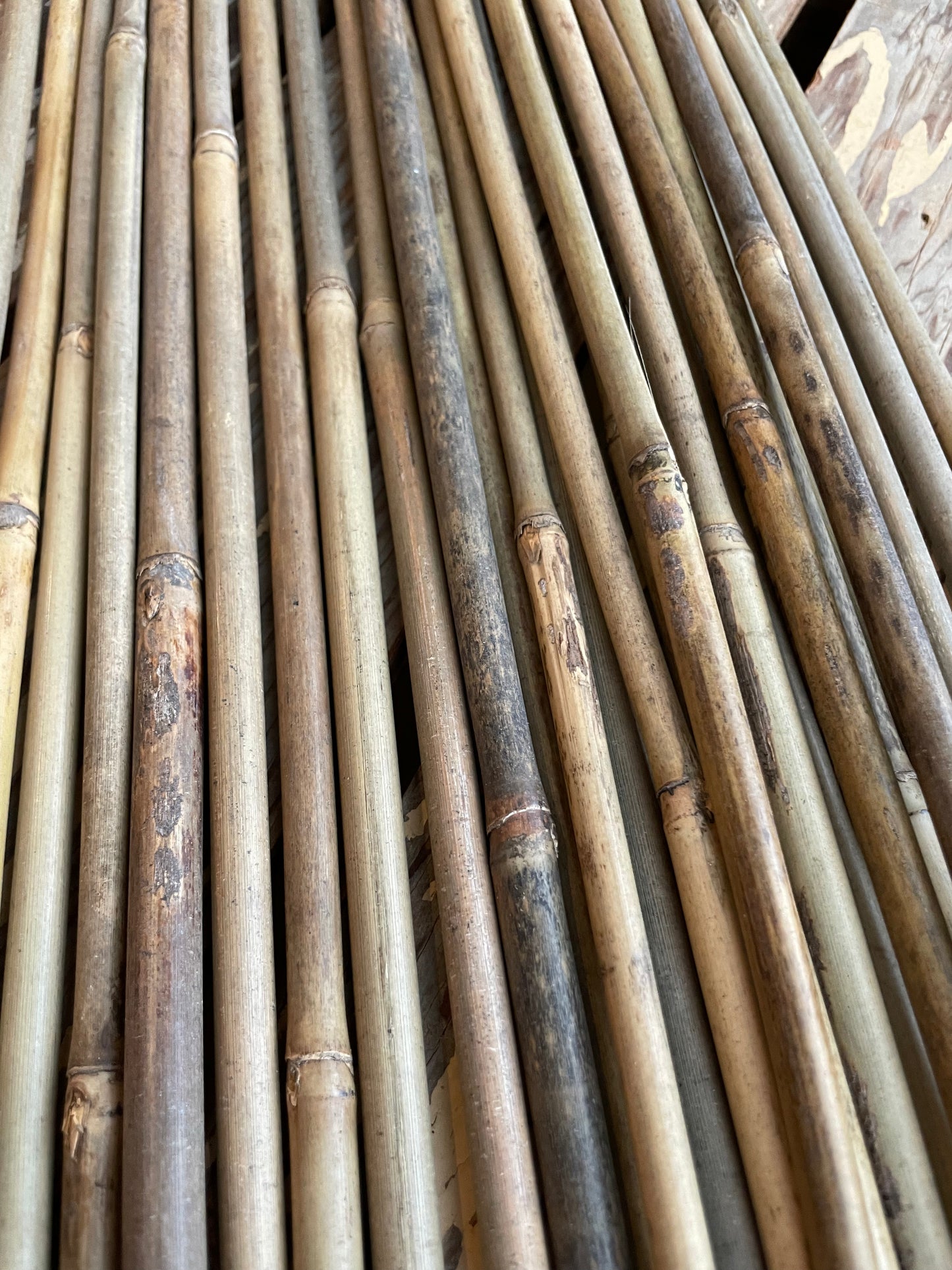 myGarden Bamboo Natural Stakes (25 Pack)