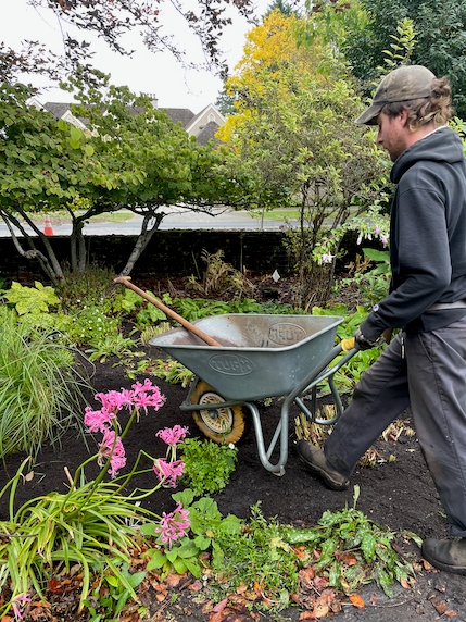 Steel Wheelbarrow