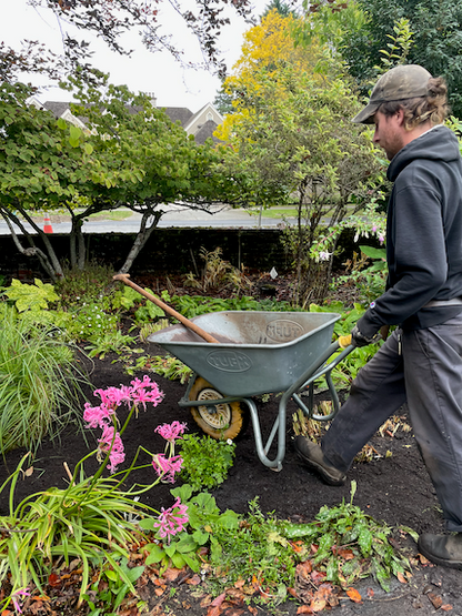 Steel Wheelbarrow