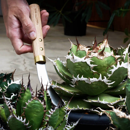 Garden Knife