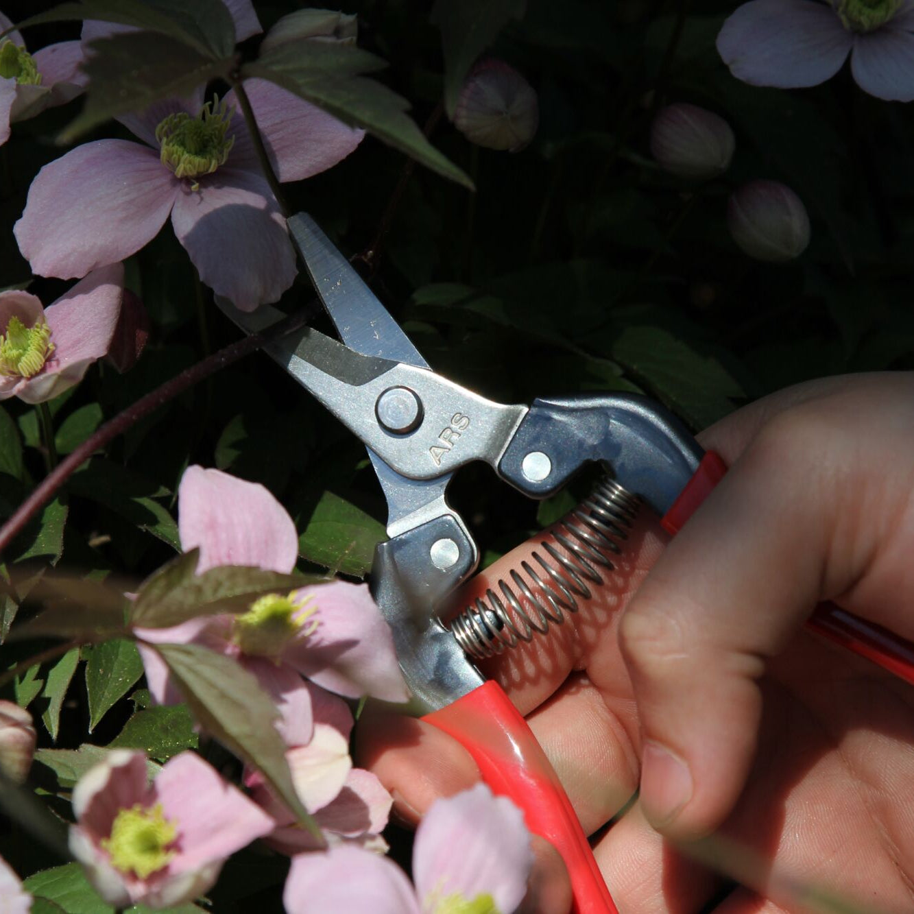 ARS HP-310 Curved Harvest Snips, Fruit Pruner