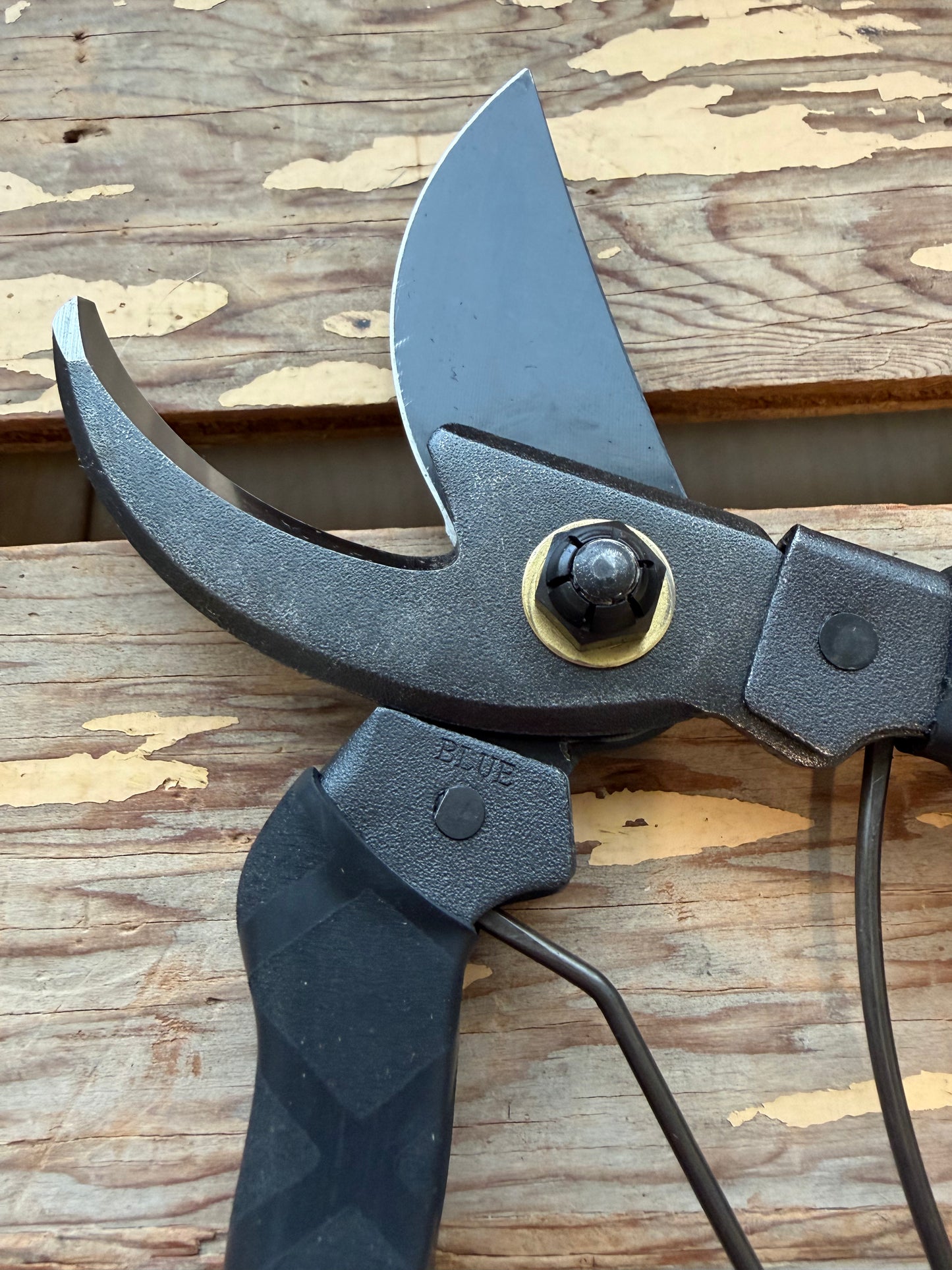 Close-up view of Black Masamune Secateurs bypass blade