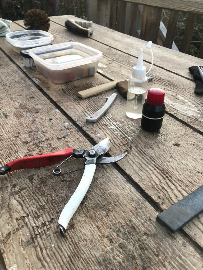 Promotional image for cleaning and sharpening workshops at Gardener's Kit, featuring a cleaning and sharpening kit and a sharpened pair of Okatsune secateurs
