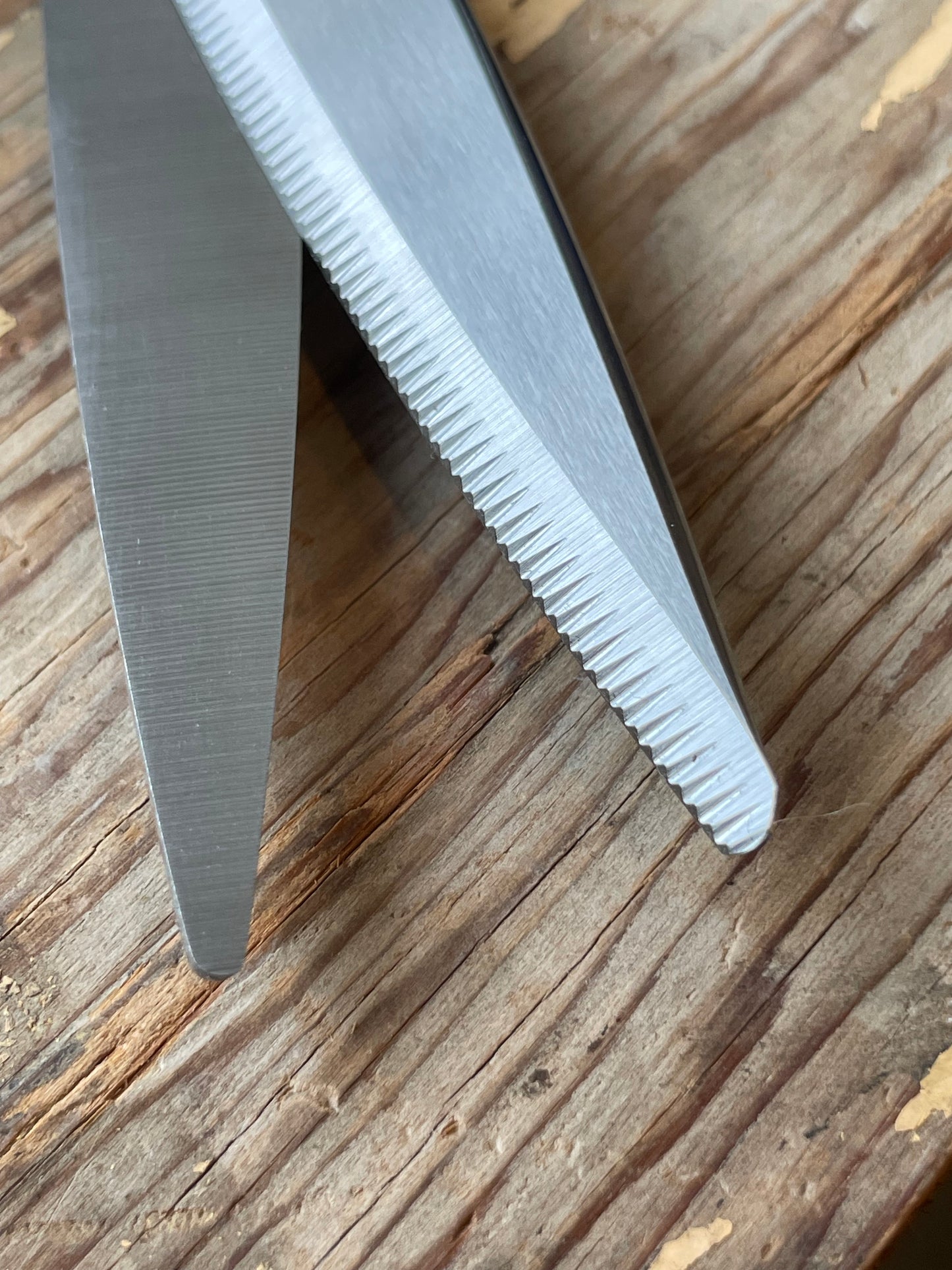 Deluxe Kitchen Scissors close-up of serrated blade