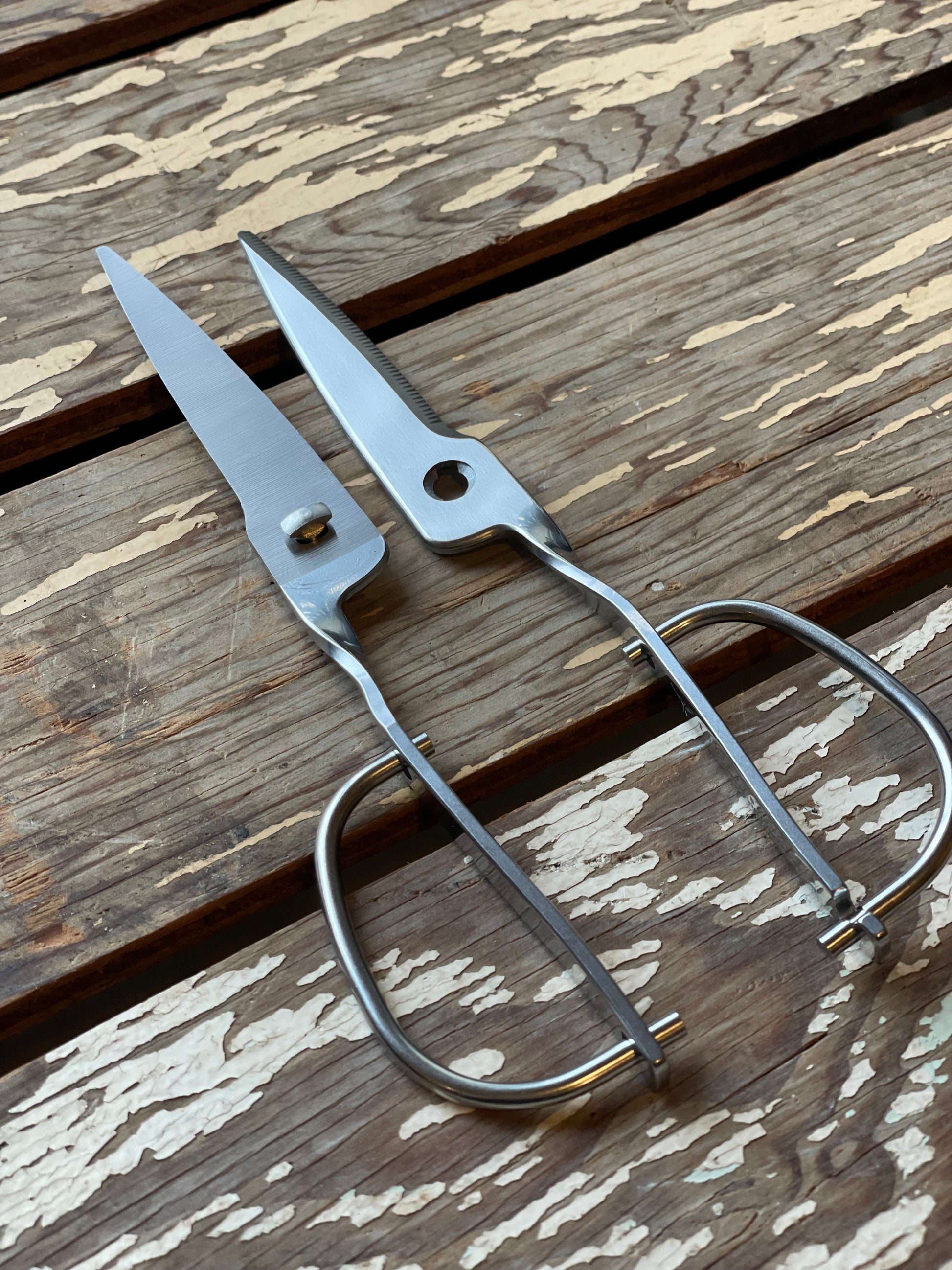 Deluxe Kitchen Scissors separated