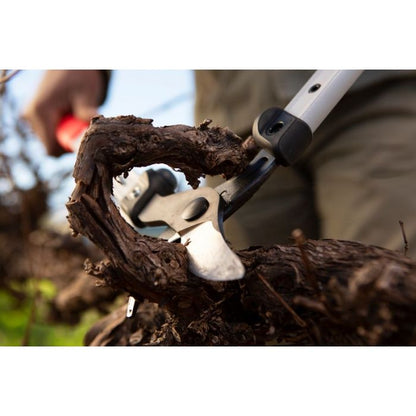Felco 201 Small Loppers being used to prune branch