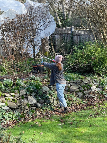 A person using Felco Loppers to cut woody branches
