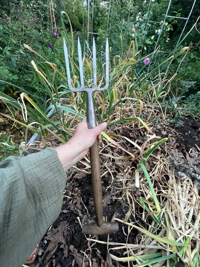 Sneeboer Great Dixter Short Fork being held up in a garden
