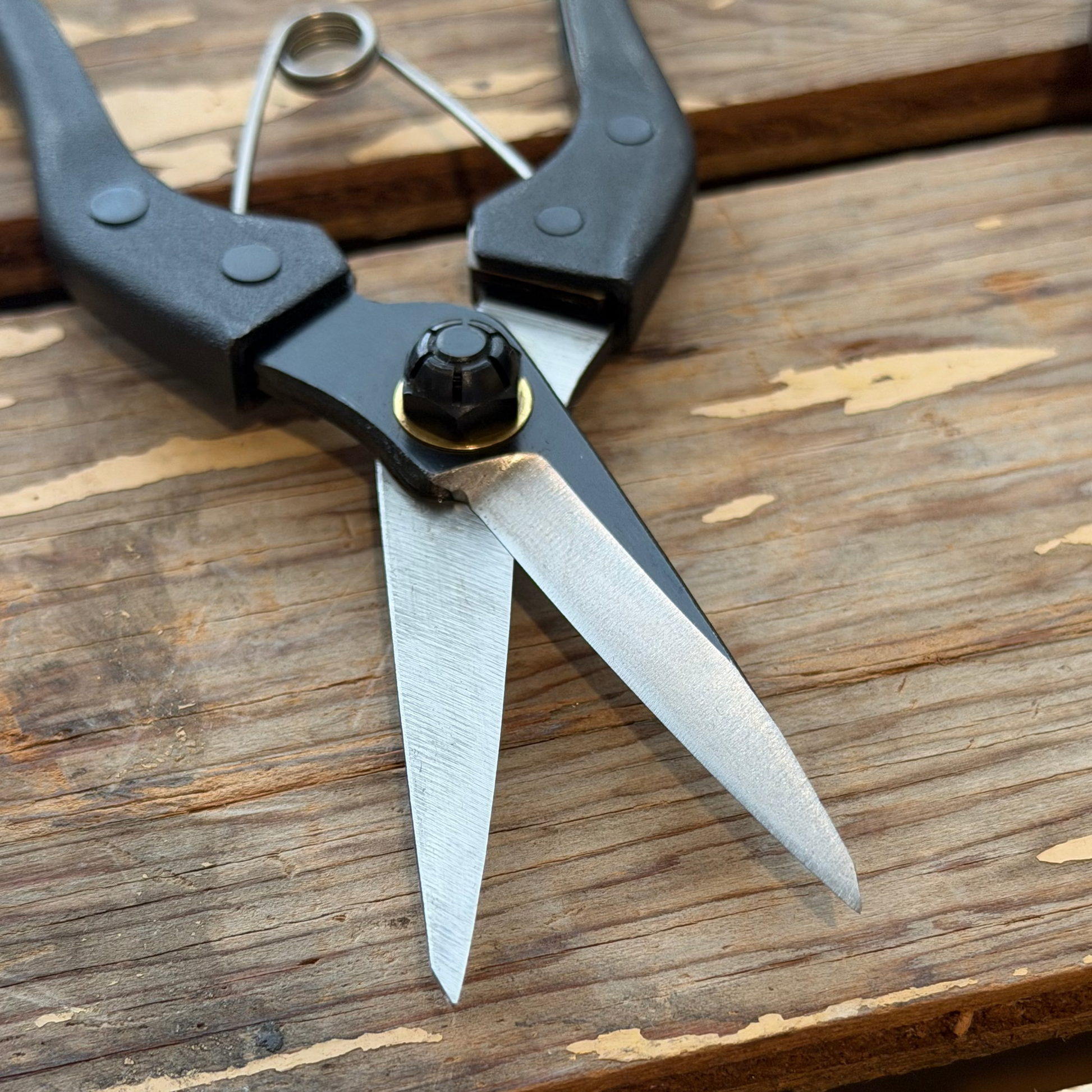 Kuroco Snips in open postion