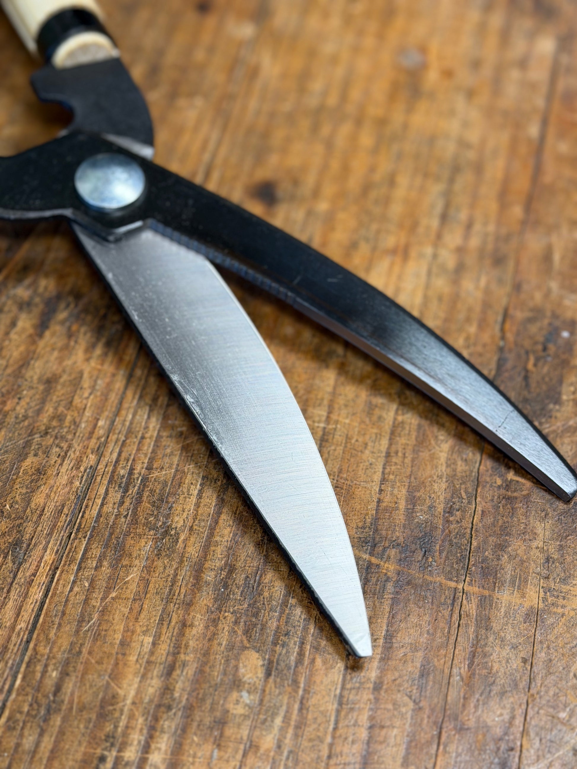 Masamune Shears close-up of blades