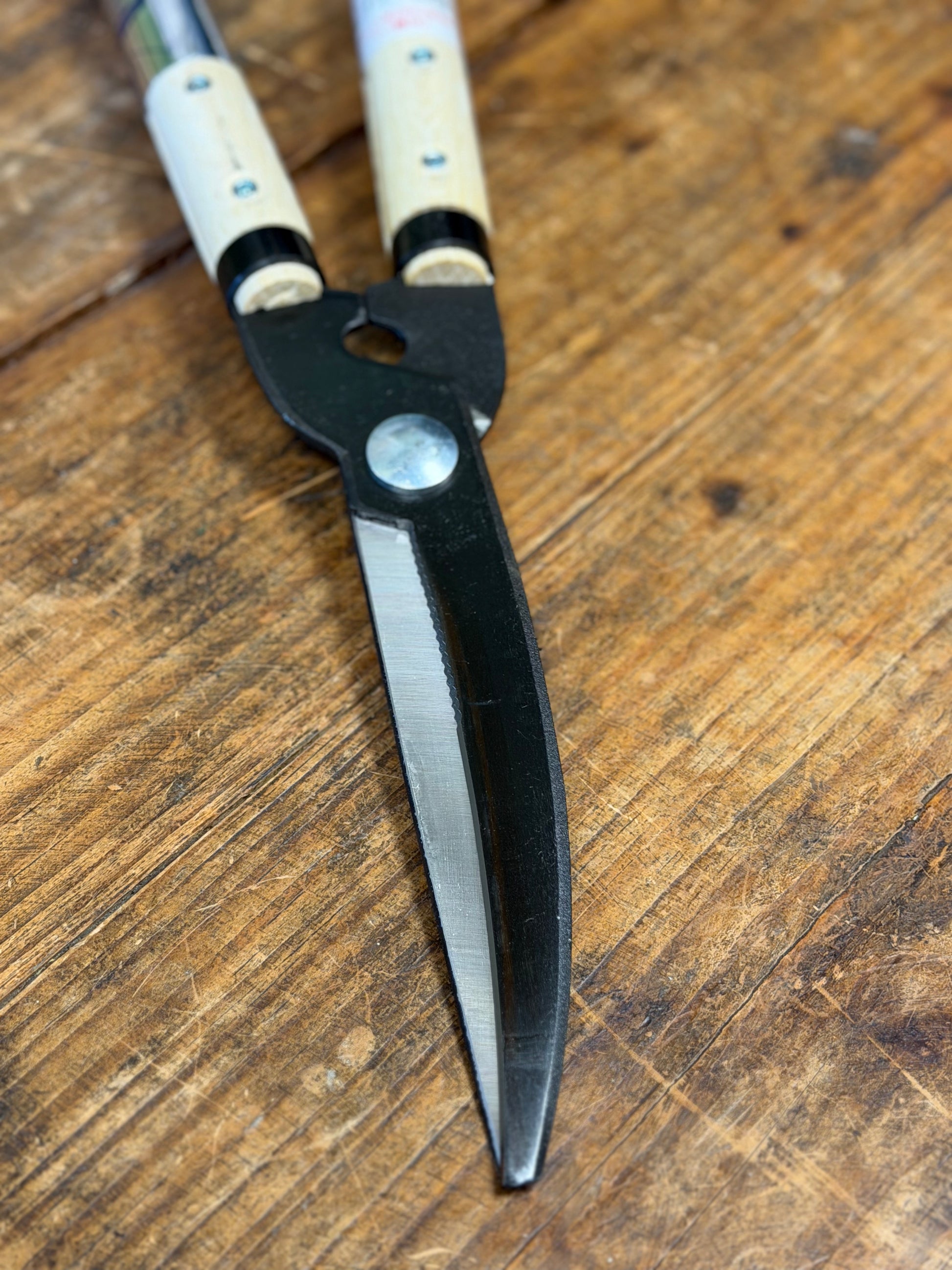 Masamune Shears close-up of blades
