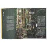 Niwaki Field Report No. 2