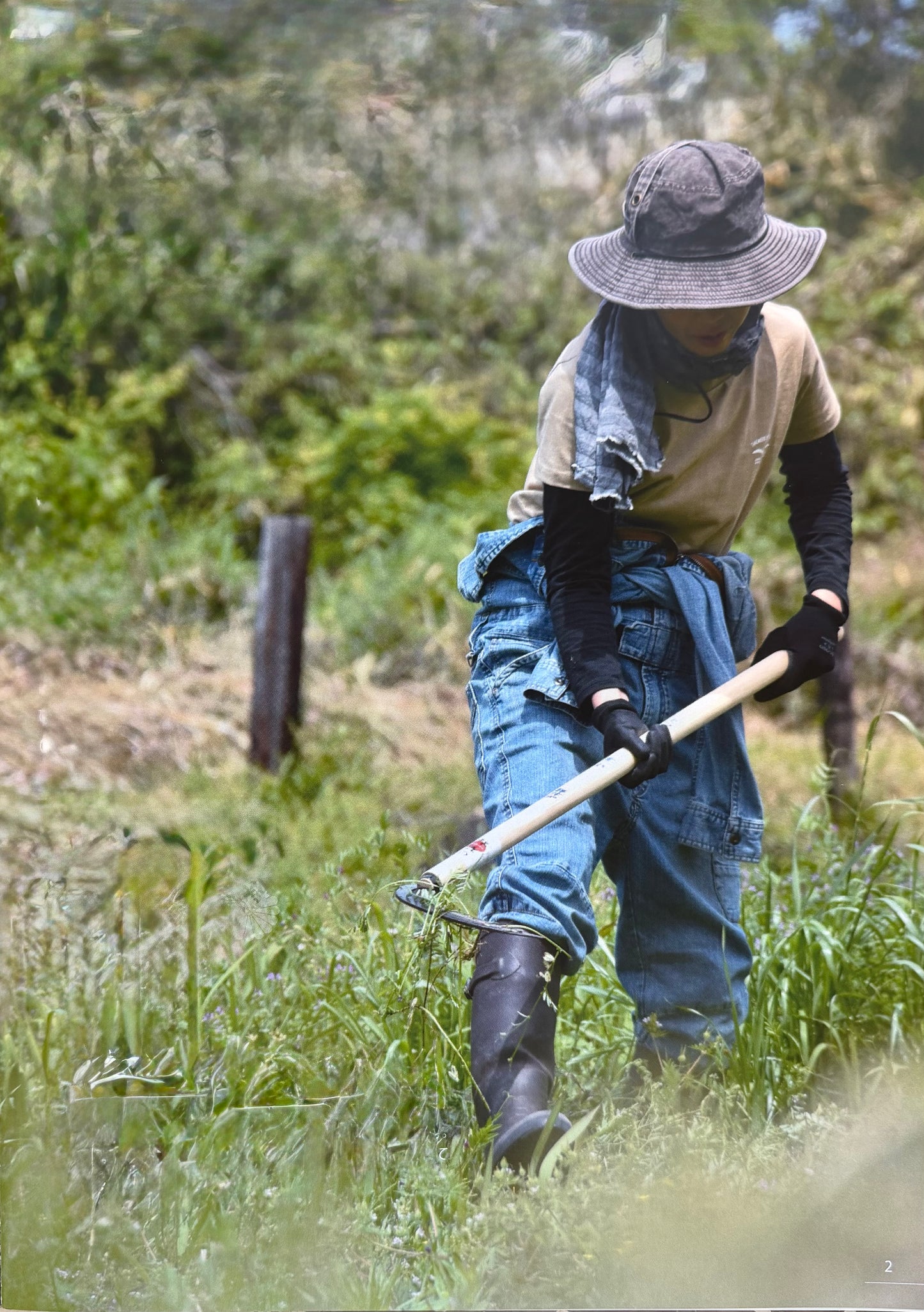 Japanese Banshu Sawtooth Sickle Long Handle in action