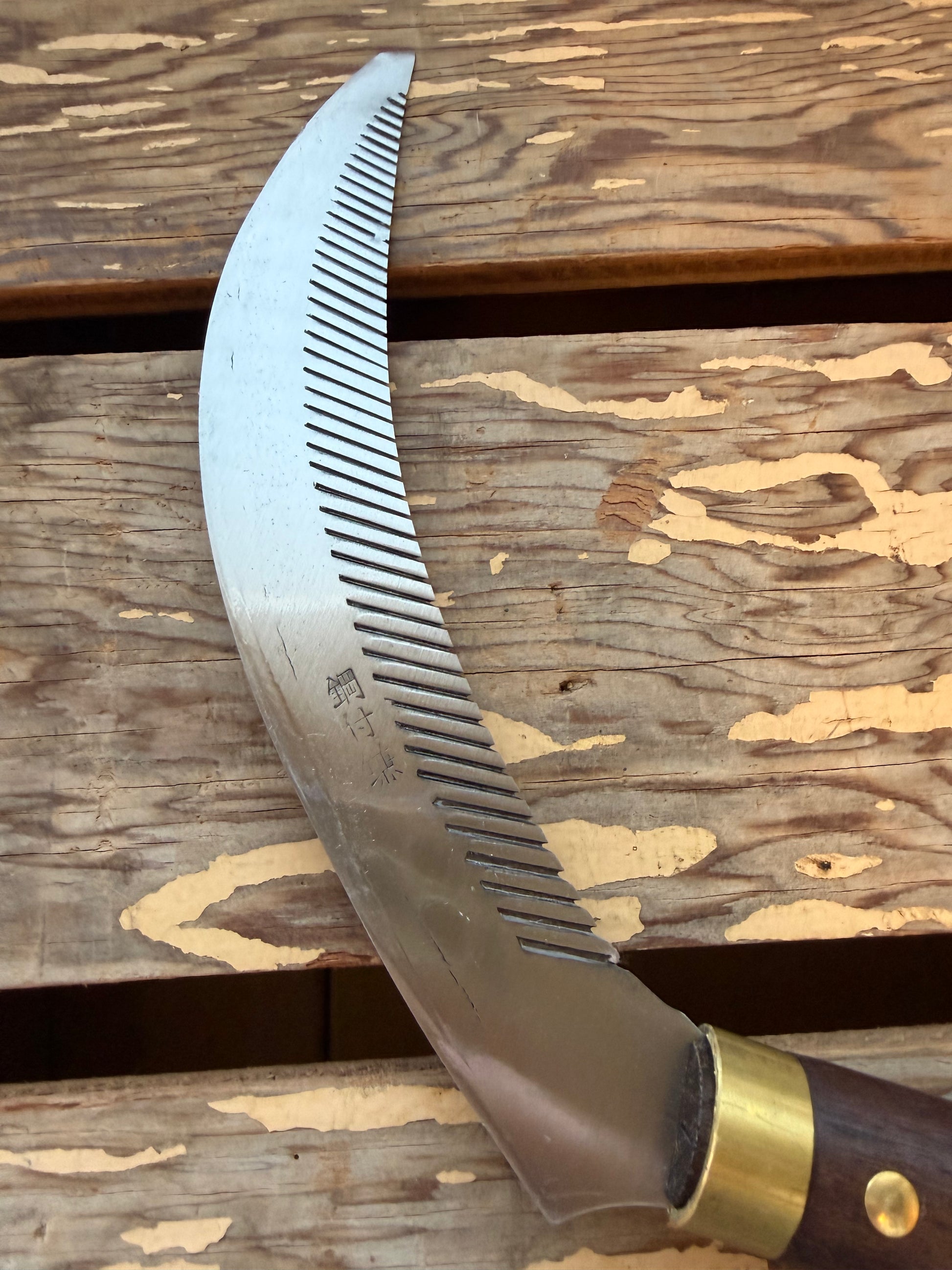 Takemoto Serrated Sickle close-up of blade