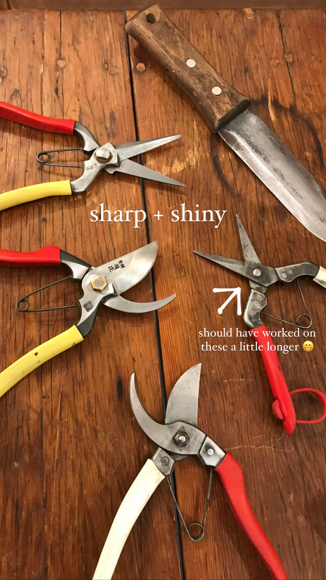 Promotional image for cleaning and sharpening workshops at Gardener's Kit, featuring sharp and shiny tools
