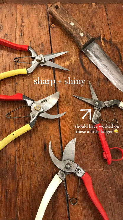 Promotional image for cleaning and sharpening workshops at Gardener's Kit, featuring sharp and shiny tools