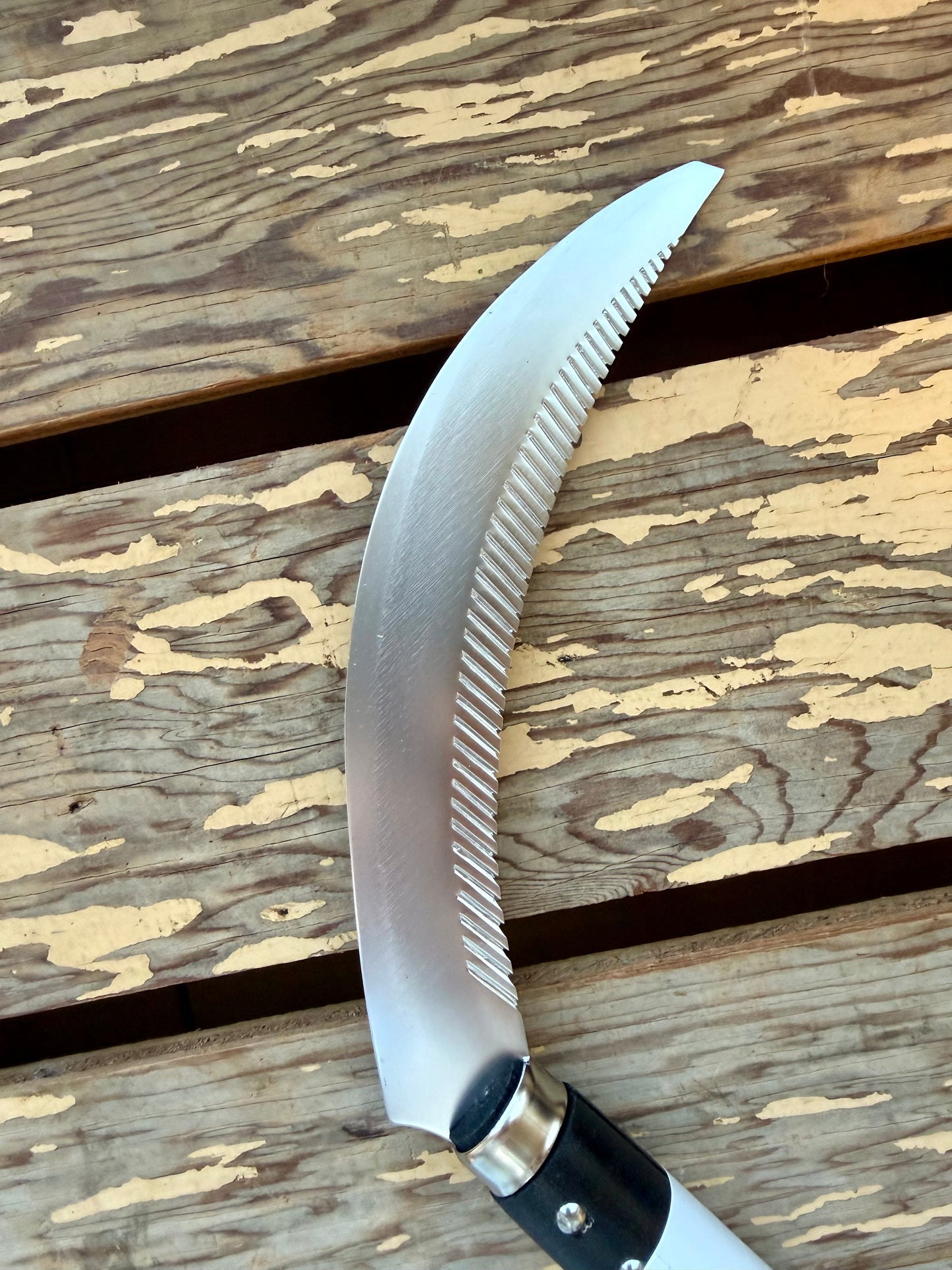 Takemoto Serrated Saw Sickle close-up of Blade