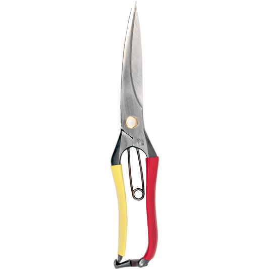 Tobisho Barracuda Clippers