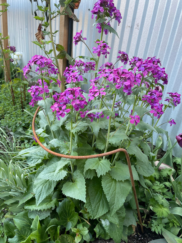 Handmade Iron Flop Bar Plant Supports 