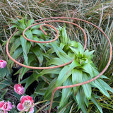Spiral Plant Support In Garden