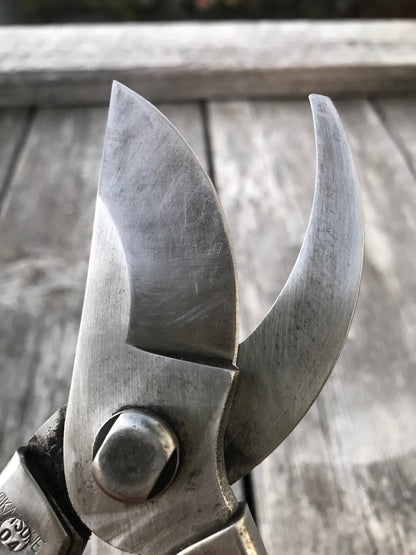 Promotional image for Cleaning and Sharpening service at Gardener's Kit showing clean blades 