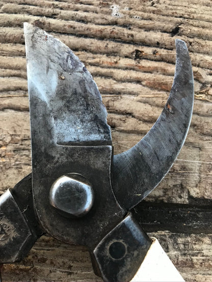 Promotional image for Cleaning and Sharpening service at Gardener's Kit showing dirty blades