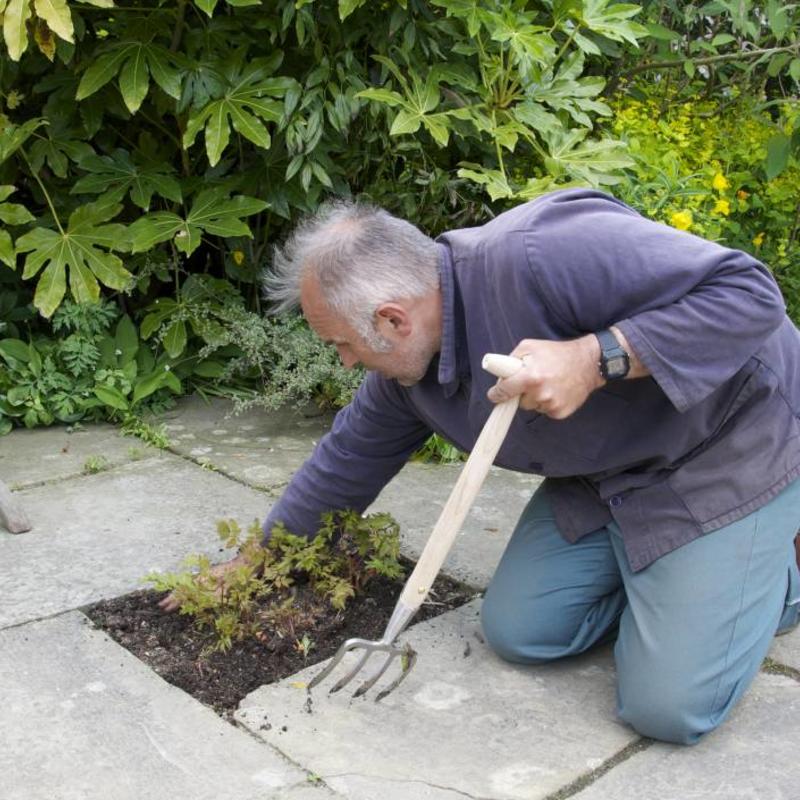 Sneeboer Great Dixter Short Fork being used by Fergus Garrett